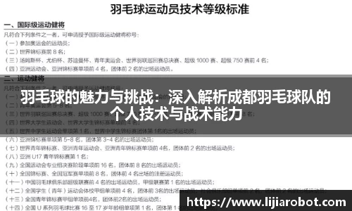 羽毛球的魅力与挑战：深入解析成都羽毛球队的个人技术与战术能力